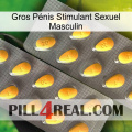 Gros Pénis Stimulant Sexuel Masculin cialis2